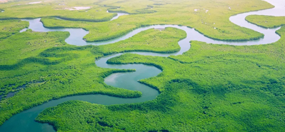 Revolučné poľnohospodárske zavlažovanie: Úloha PVC rúr a tvaroviek